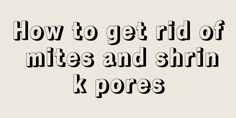 How to get rid of mites and shrink pores