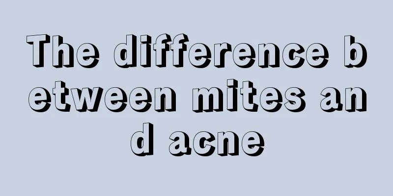 The difference between mites and acne