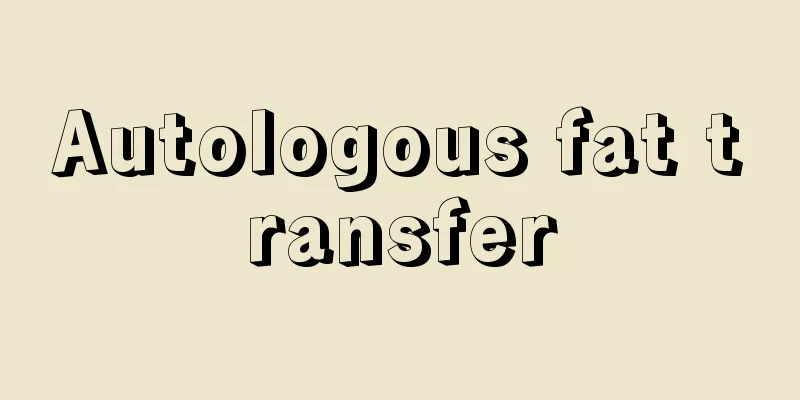 Autologous fat transfer