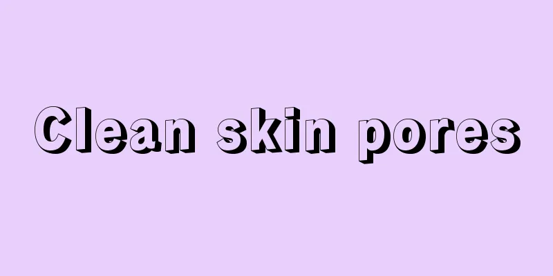 Clean skin pores