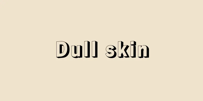 Dull skin