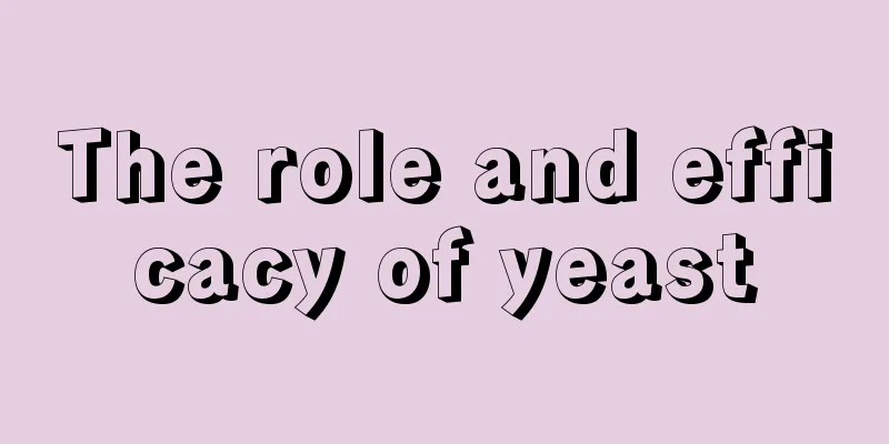 The role and efficacy of yeast