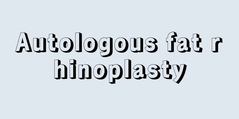 Autologous fat rhinoplasty