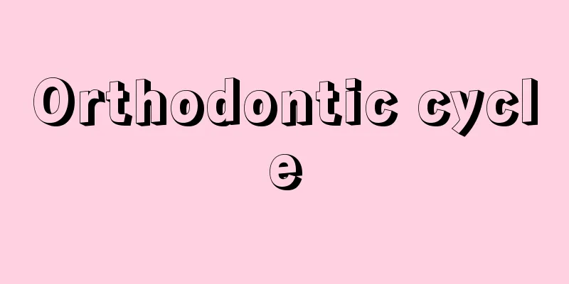 Orthodontic cycle