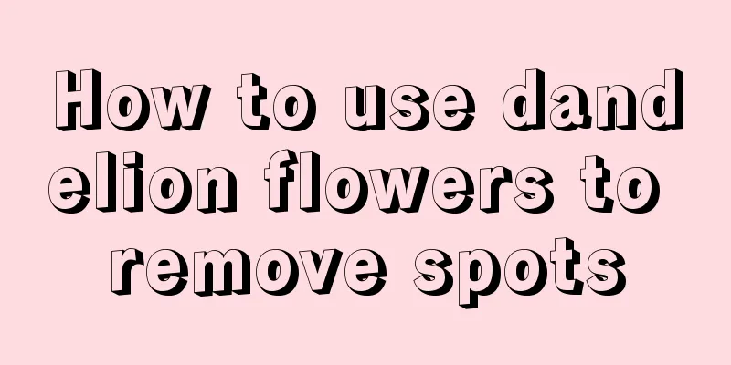 How to use dandelion flowers to remove spots