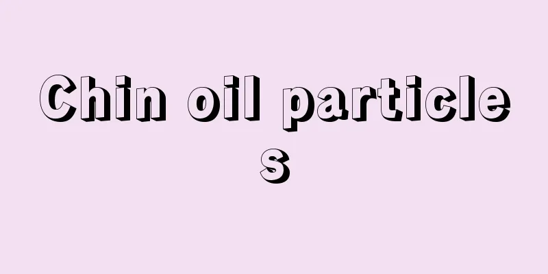 Chin oil particles