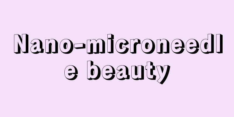 Nano-microneedle beauty