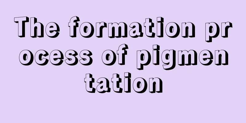 The formation process of pigmentation