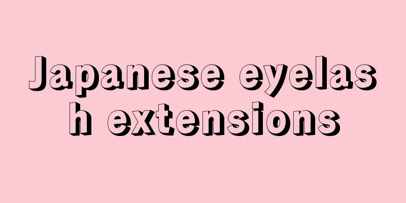 Japanese eyelash extensions