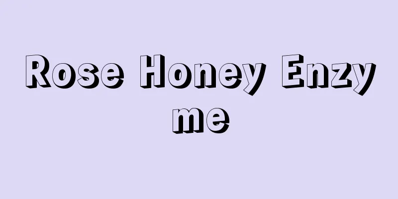 Rose Honey Enzyme