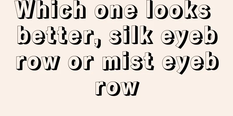 Which one looks better, silk eyebrow or mist eyebrow