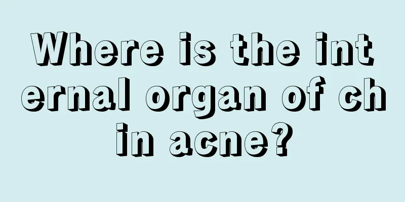 Where is the internal organ of chin acne?