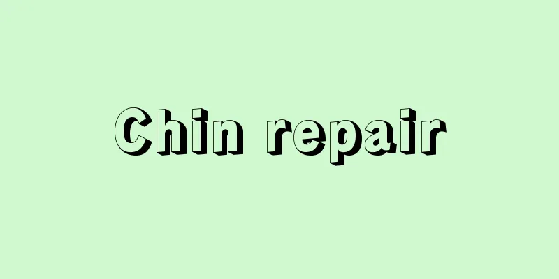 Chin repair