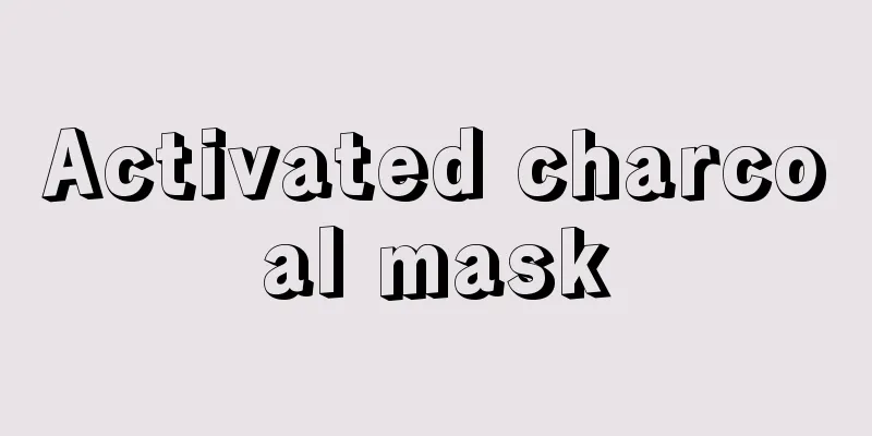 Activated charcoal mask