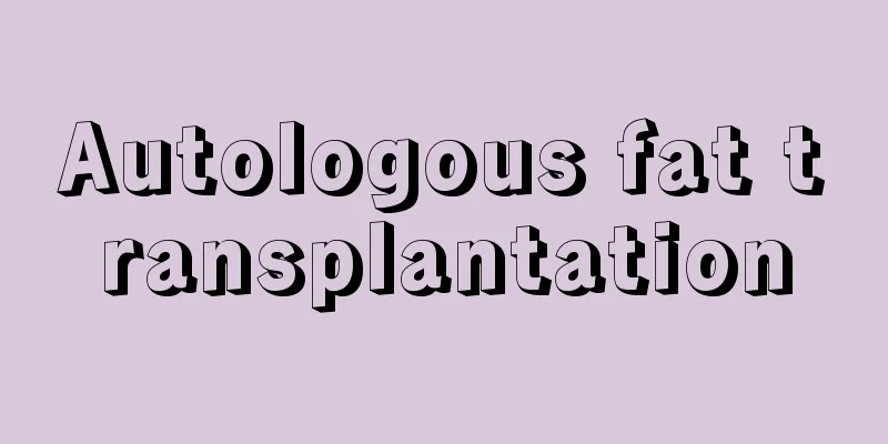 Autologous fat transplantation