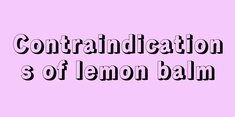 Contraindications of lemon balm