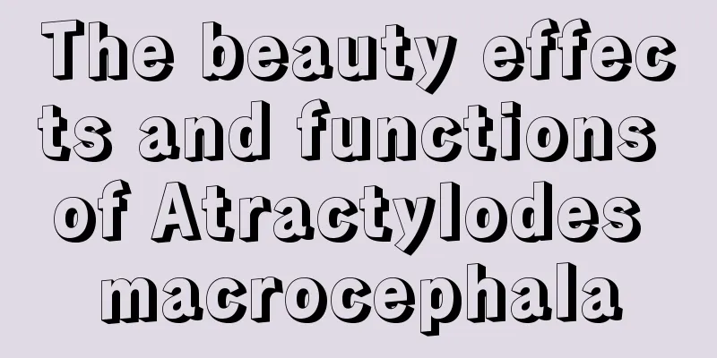 The beauty effects and functions of Atractylodes macrocephala