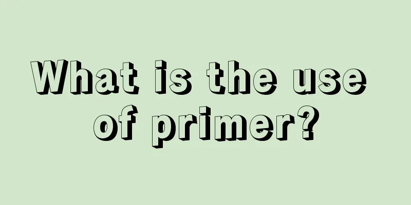 What is the use of primer?