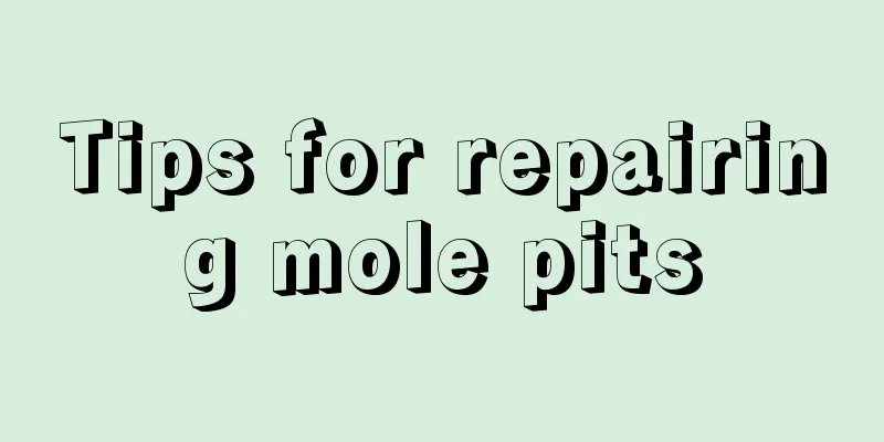 Tips for repairing mole pits