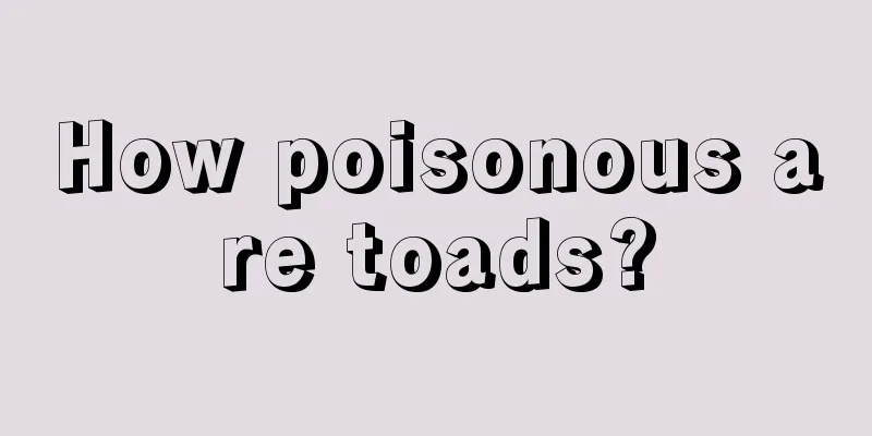 How poisonous are toads?