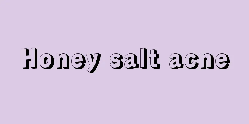 Honey salt acne