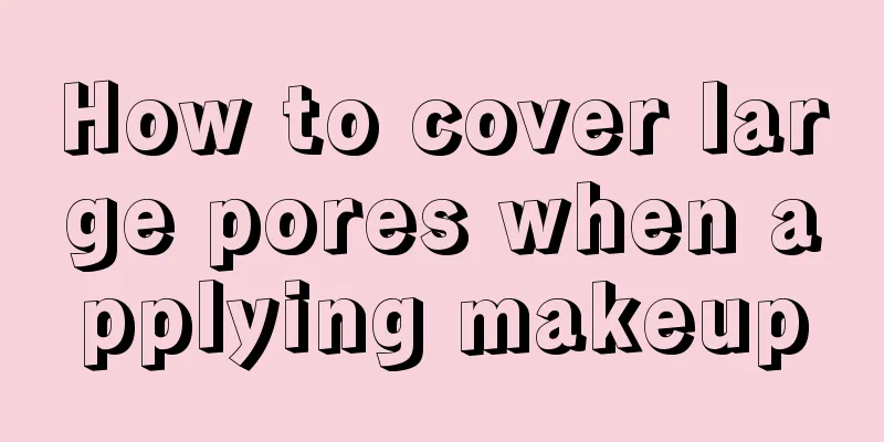 How to cover large pores when applying makeup