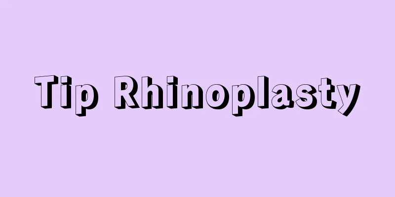 Tip Rhinoplasty