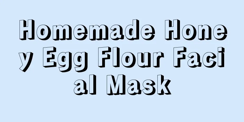 Homemade Honey Egg Flour Facial Mask