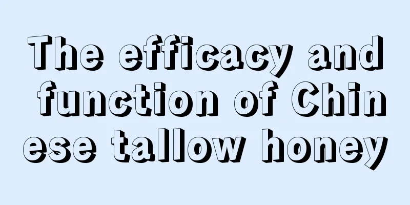 The efficacy and function of Chinese tallow honey