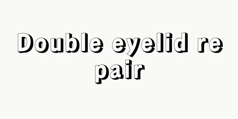 Double eyelid repair