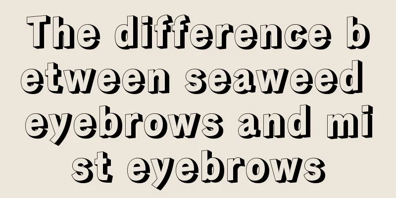 The difference between seaweed eyebrows and mist eyebrows