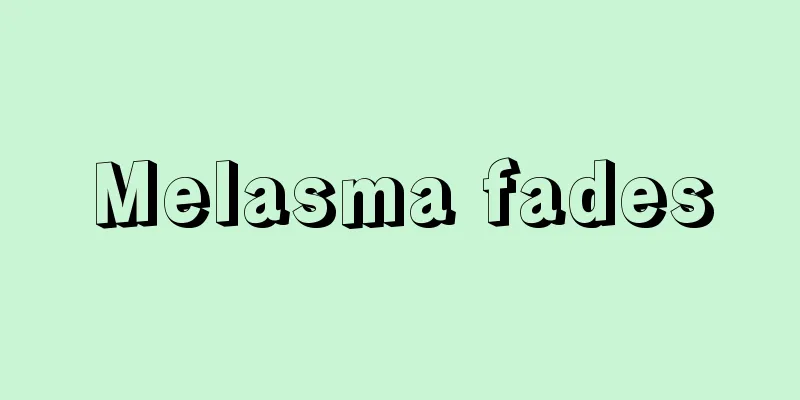 Melasma fades