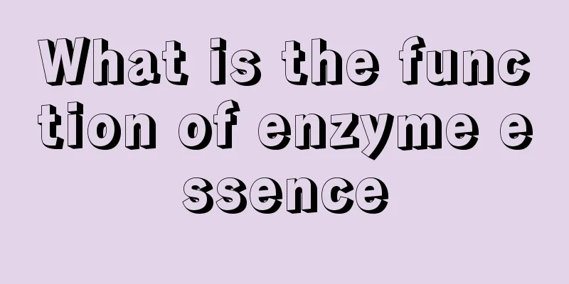 What is the function of enzyme essence