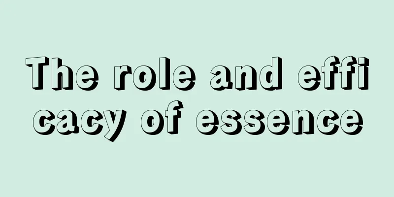 The role and efficacy of essence