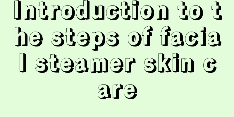 Introduction to the steps of facial steamer skin care