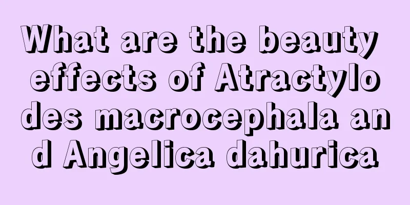 What are the beauty effects of Atractylodes macrocephala and Angelica dahurica