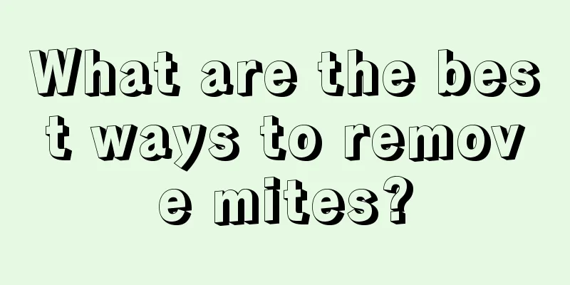 What are the best ways to remove mites?