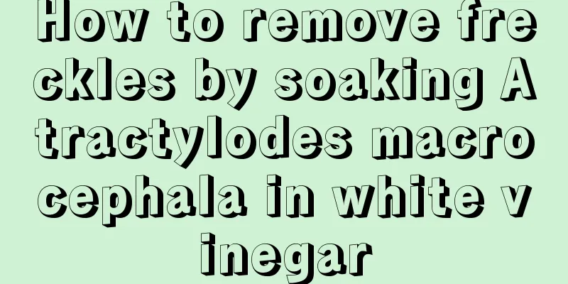 How to remove freckles by soaking Atractylodes macrocephala in white vinegar