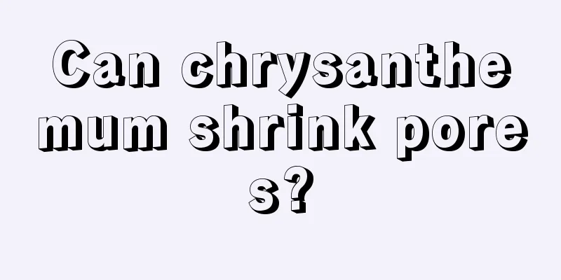 Can chrysanthemum shrink pores?