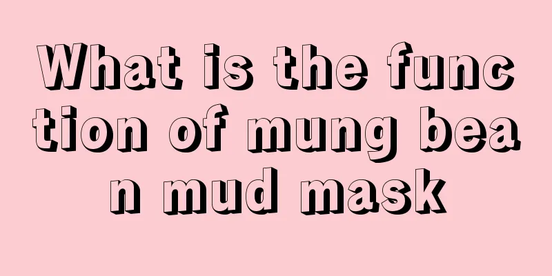 What is the function of mung bean mud mask