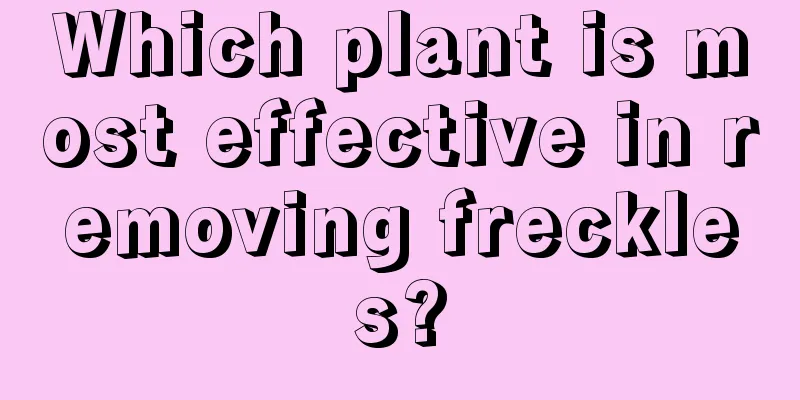 Which plant is most effective in removing freckles?