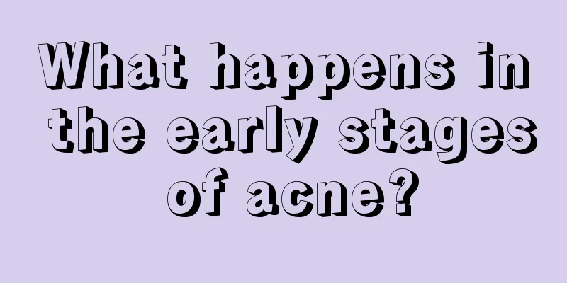 What happens in the early stages of acne?