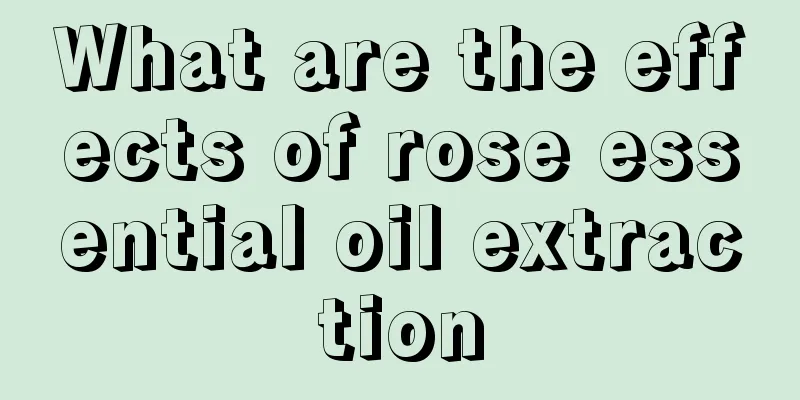 What are the effects of rose essential oil extraction