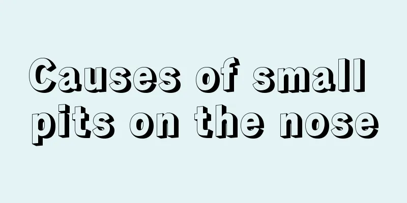 Causes of small pits on the nose