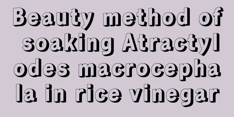 Beauty method of soaking Atractylodes macrocephala in rice vinegar