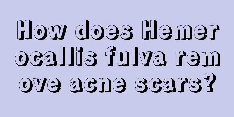 How does Hemerocallis fulva remove acne scars?