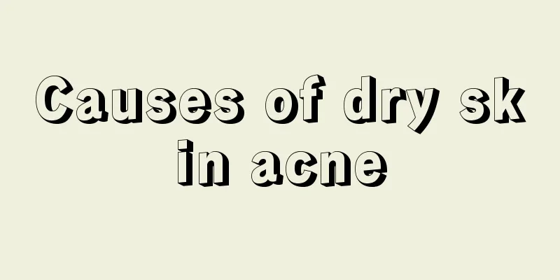 Causes of dry skin acne