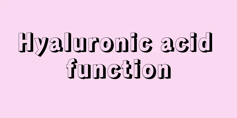 Hyaluronic acid function