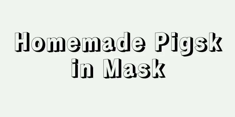 Homemade Pigskin Mask