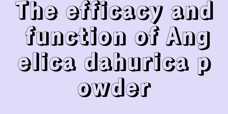 The efficacy and function of Angelica dahurica powder